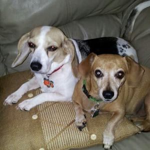 Meet your Posher, Linda